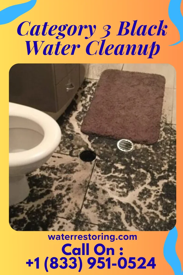 Category 3 Black Water Cleanup in Glendo, WY