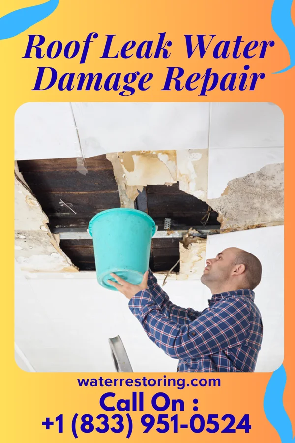 Roof Leak Water Damage Repair in Glendo, WY