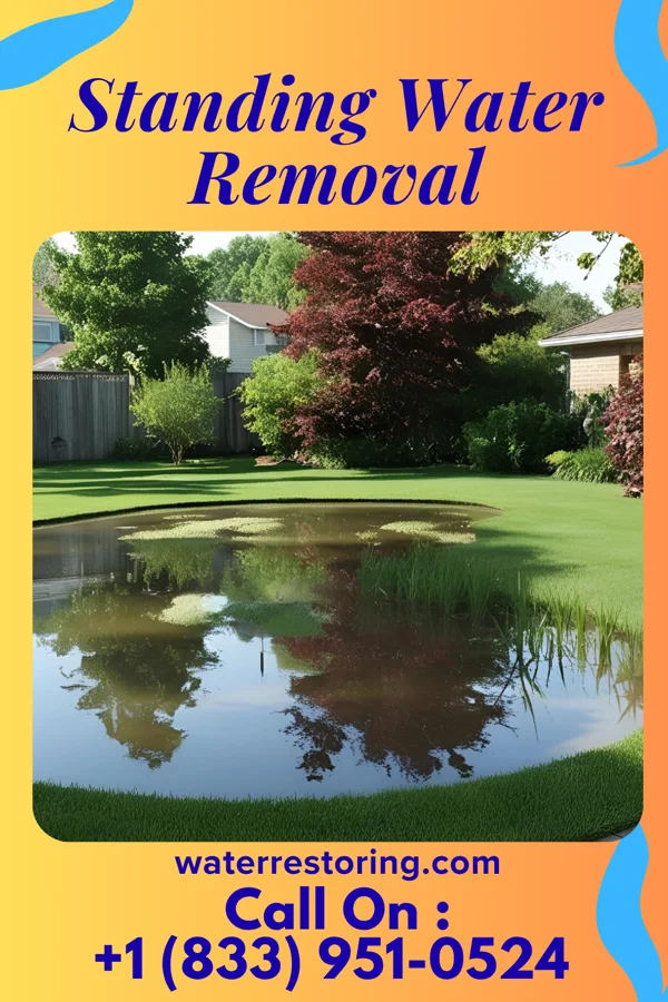 Standing Water Removal in Glendo, WY